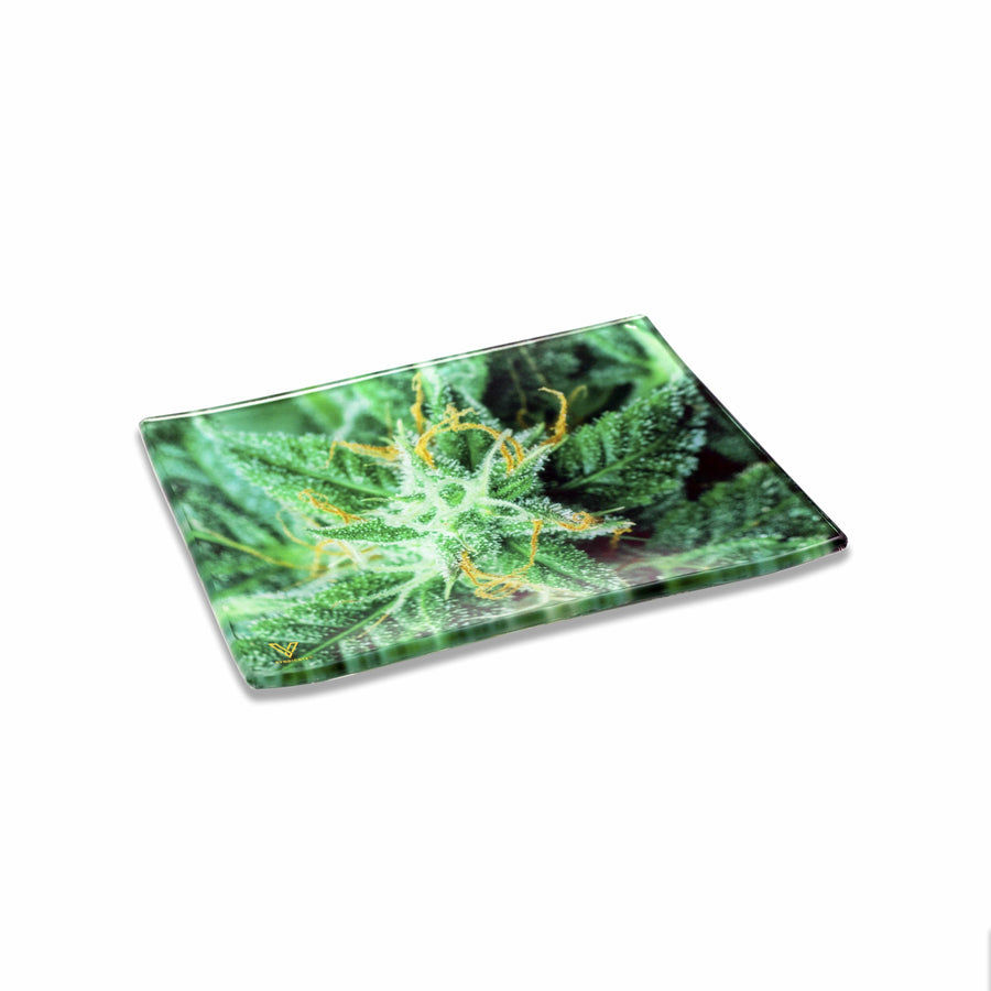 V Syndicate Glass Rollin' Tray AK 47 Glass Rollin' Tray