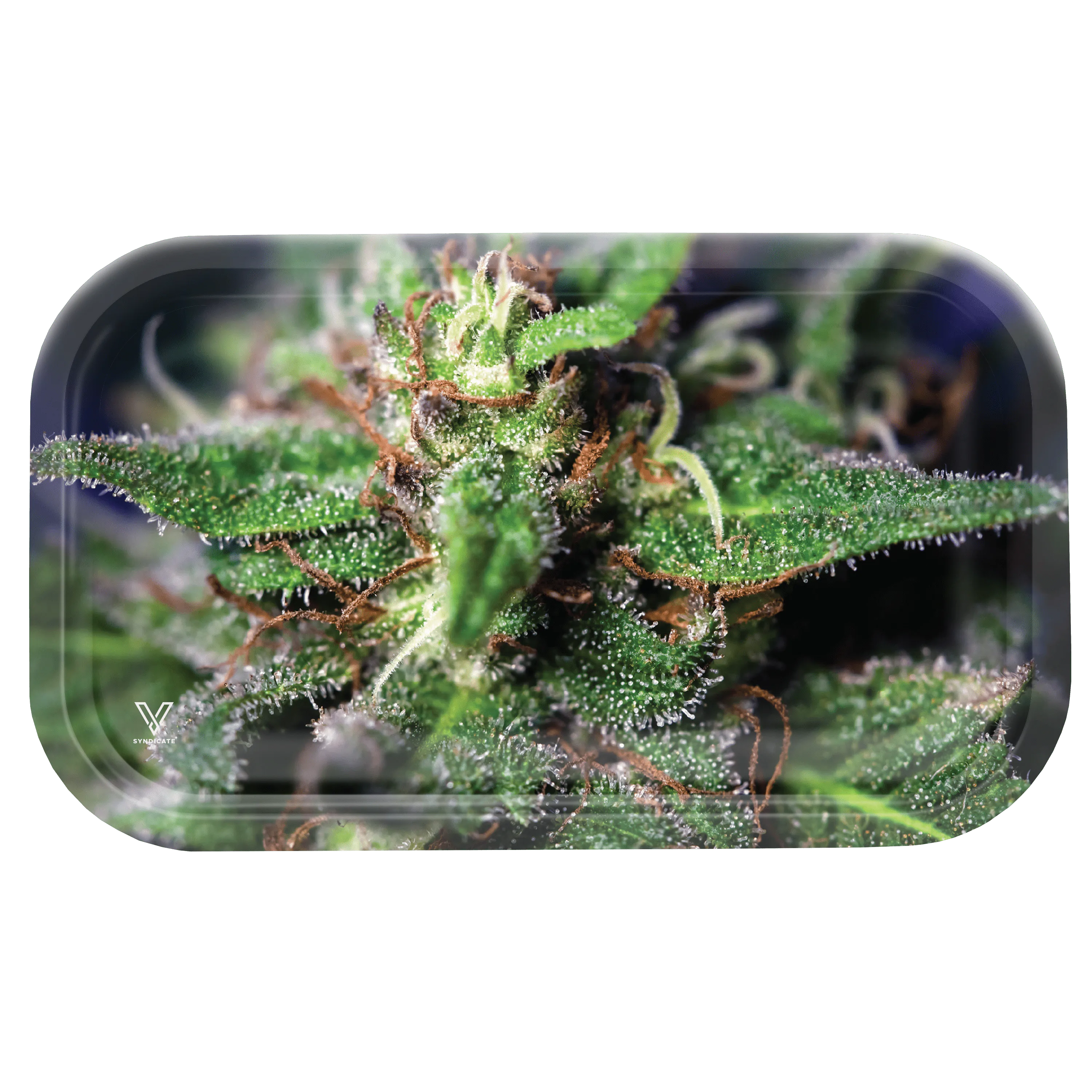 Blue-Dream-MetalMediumTray