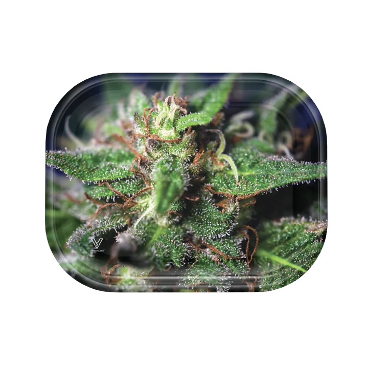 Blue-Dream-MetalSmallTray_d9ce6461-2ed4-485d-a156-aec331758c37